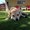 Photo of Evie H.