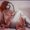 Photo of Rolanda P.