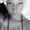 Photo of Mariam S.
