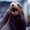 Photo of Sea Lion ..