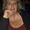 Photo of Brenda R.