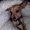 Photo of Trudi S.