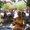 Photo of Sheri A.