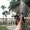 Photo of Aracelis R.