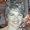 Photo of Cindy A.
