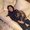 Photo of Kimberly L.