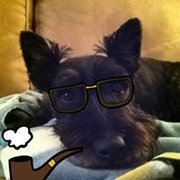 google avatar