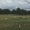 Photo of ELsewhere _.