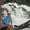 Photo of Saloni N.