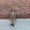 Photo of Savana S.