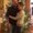 Photo of Cody P.