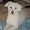 Photo of Lucy O.
