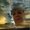 Photo of Sherry N.