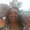 Photo of Qiana T.