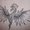 Photo of Qype User (Jubber…)