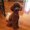 Photo of Cindy L.
