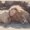 Photo of Peabo D.