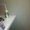 Photo of Matty C.