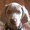 Photo of JerseyBoy N.