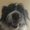 Photo of Angela H.