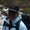 Photo of Keturah K.