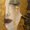 Photo of Adair V.