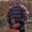 Photo of Paul S.