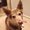 Photo of Suzie Q.