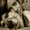 Photo of Lace E.