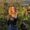 Photo of Anabel A.