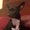 Photo of Becki B.