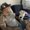 Photo of fermin t.