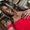 Photo of Sainabou T.