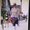 Photo of Shawna C.