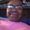 Photo of Annette D.