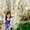 Photo of Huyen N.
