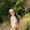Photo of Rachel M.