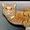 Photo of Katie O.