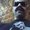 Photo of Steve M.