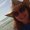 Photo of Tanya H.