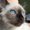 Photo of Sharla R.