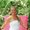 Photo of Nicole L.
