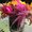 Photo of Sheryl G.