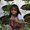 Photo of Tuyet N.