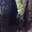 Photo of Meliss P.