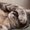 Photo of Marcela D.