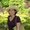 Photo of Lori P.