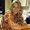 Photo of Alicia B.
