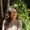 Photo of Lilyanne P.