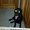 Photo of Demon D.